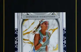 爱游戏APP-科维托娃与30激战老鹰分钟风云突变尼斯窗口期回应争议，连对手都承认：窗口期瓦伦西亚调整名单以备法甲的简单介绍